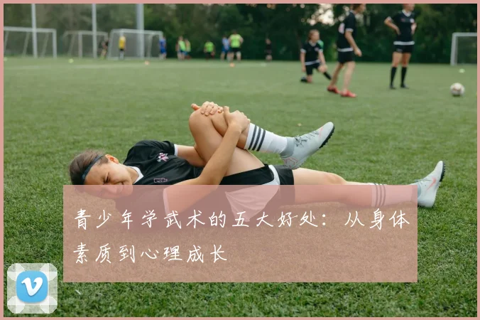 青少年学武术的五大好处:从身体素质到心理成长